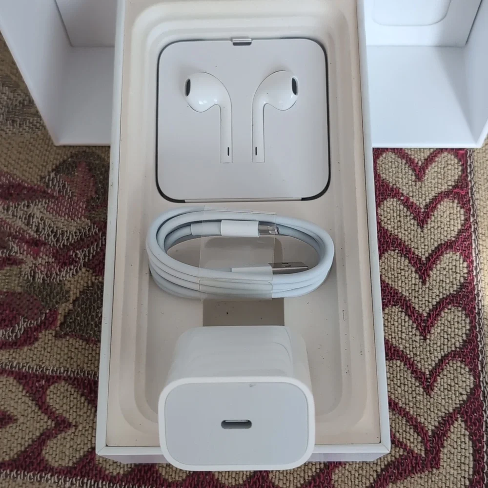 EarPods w/ Lightning Connector & Charger, in Apple iPhone 11 Box (no phone) N